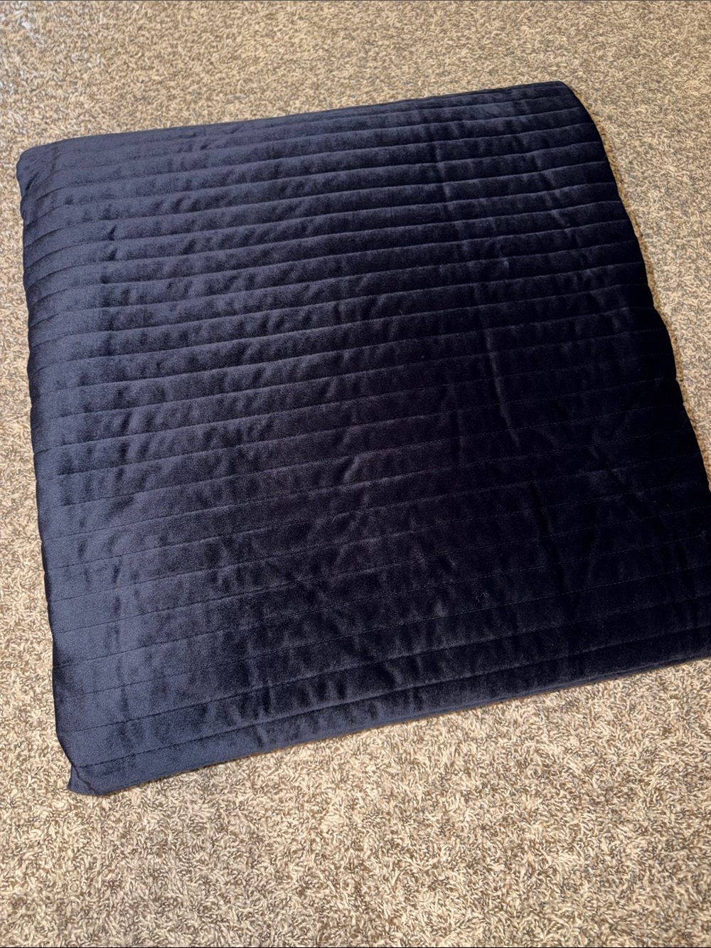 Plush Velvet Quilted Comforter - Navy Blue
